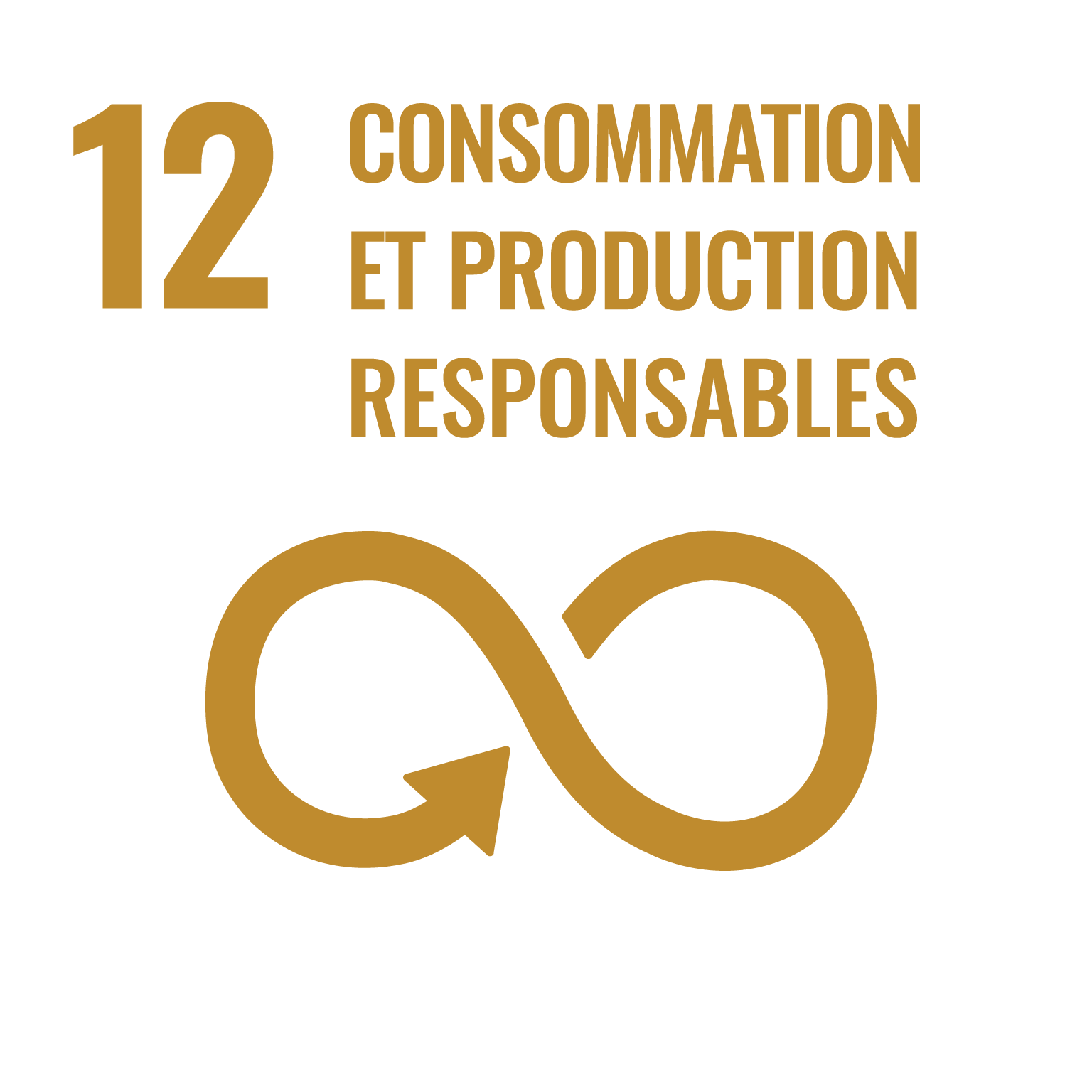 icone ODD 12 consommation et production responsable